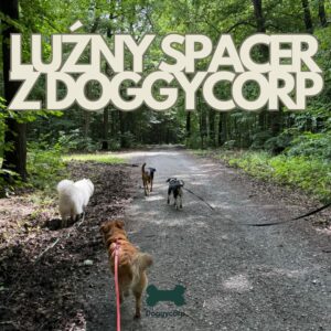 Luźny spacer z elementami treningu