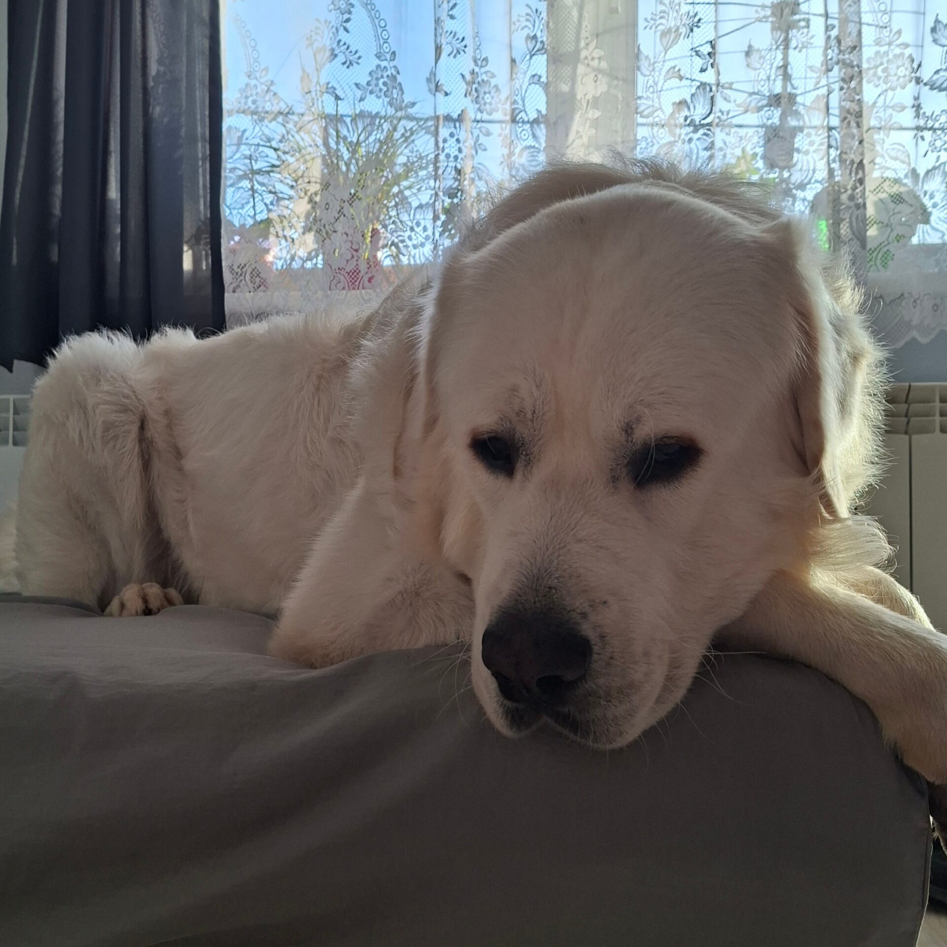 Dominika i Max – indywidualny plan pracy