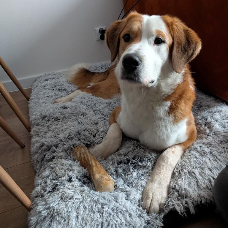 Anna i Budyń indywidualny plan pracy